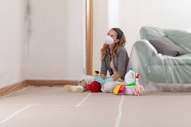 Reliable Mold Remediation contractor in Morrisville, NC by Cheap Mold Removal